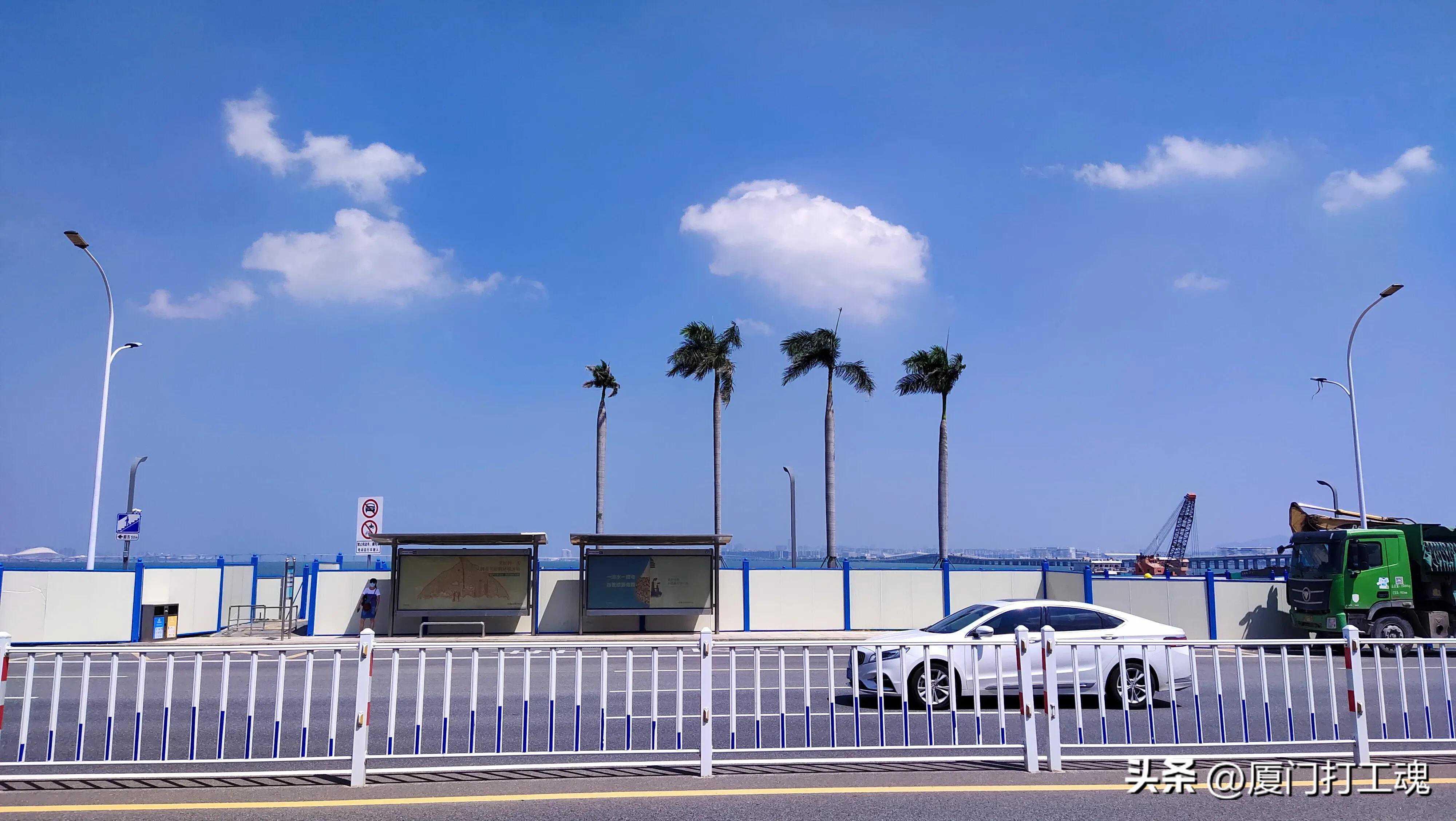 拔了一颗智齿，花了600块，心疼