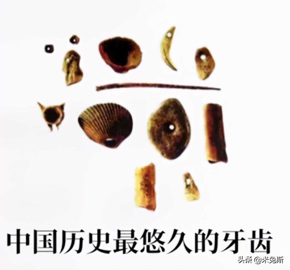 带你了解人类牙齿的进化史