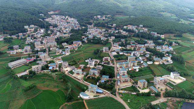 麒麟东山牙易里：苍鹭的天堂