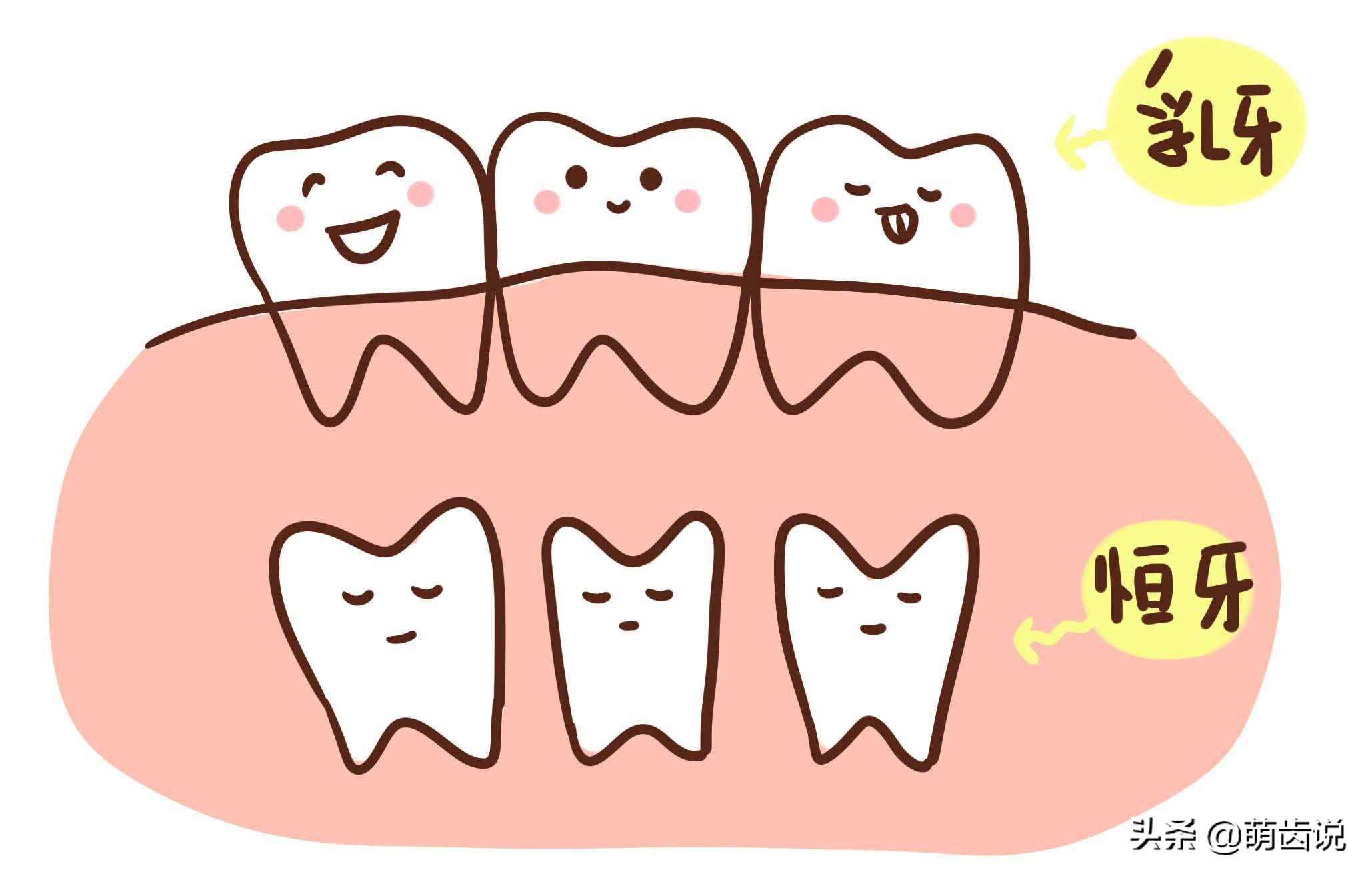 儿牙医生来吐槽（一）——医生，你能分辨出孩子的乳牙和恒牙吗？